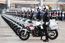 Police Forces in Asia: Structure and Responsibilities