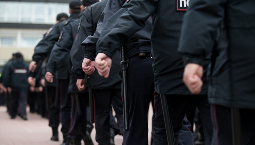 Global Police Forces and Law Enforcement Systems