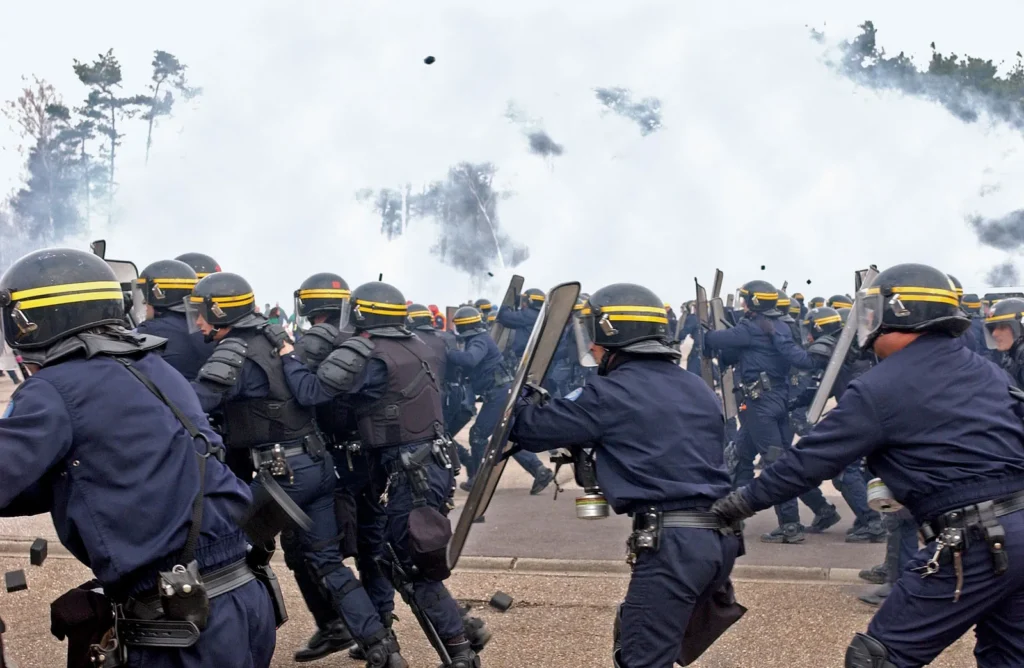 Worldwide Policing Systems History Duties and Practices